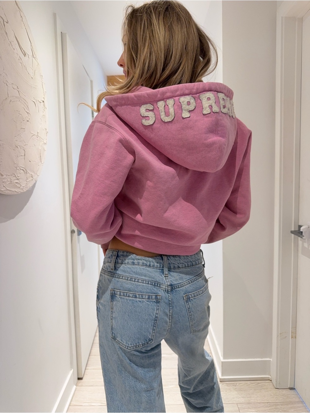 Supreme Pink Cropped Teddy Hoodie with Raised Logo